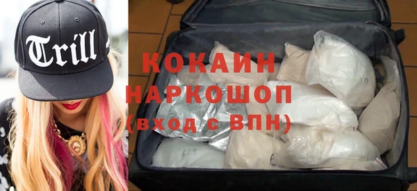 гидропоника Гусиноозёрск
