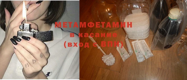 индика Гусев