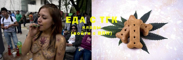 индика Гусев
