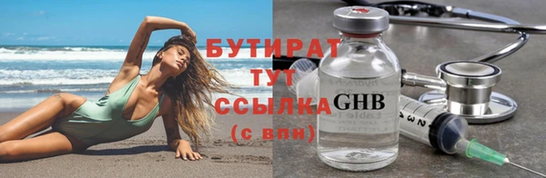 индика Гусев