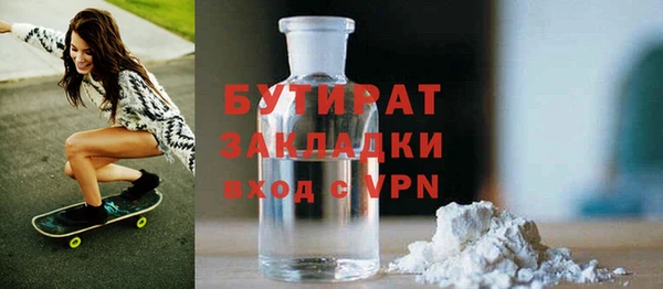 индика Гусев