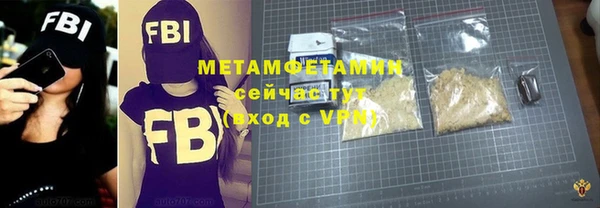 индика Гусев
