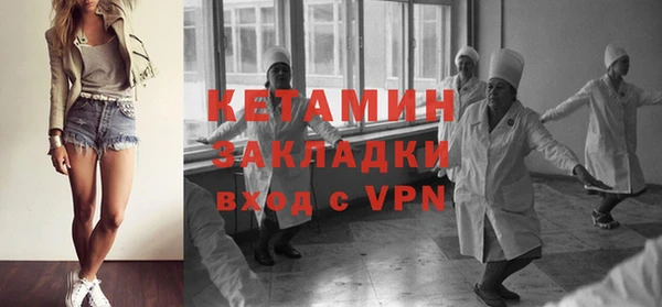 индика Гусев