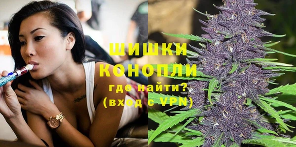 индика Гусев