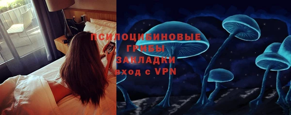 гидропоника Гусиноозёрск