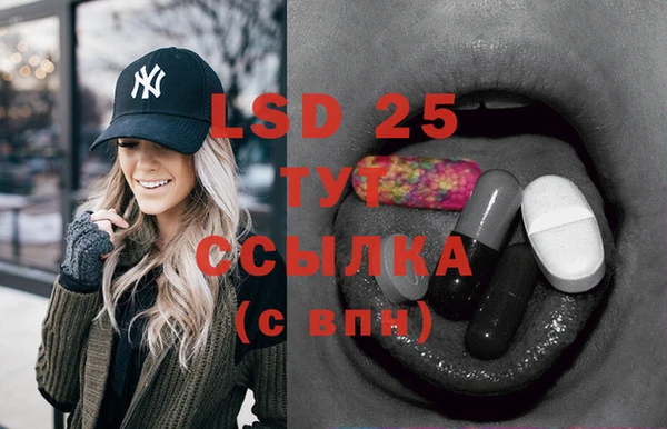 индика Гусев