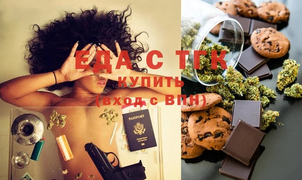 индика Гусев