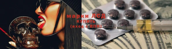 гидропоника Гусиноозёрск