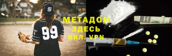 индика Гусев