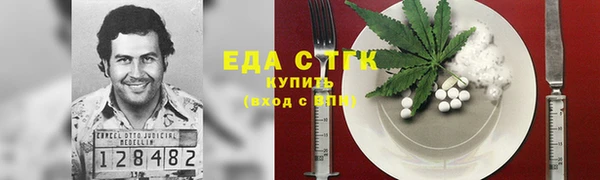 индика Гусев