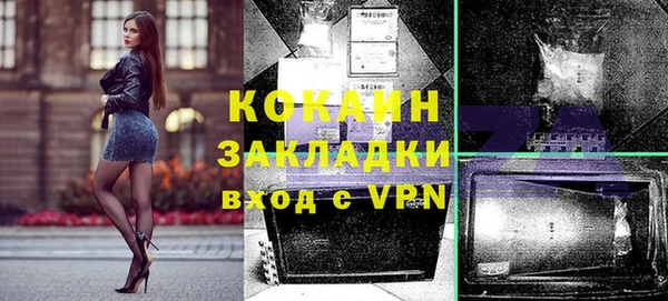 гидропоника Гусиноозёрск