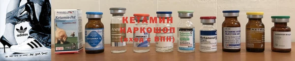 индика Гусев