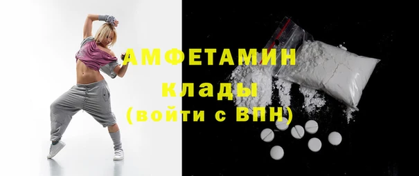 индика Гусев