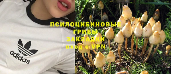 индика Гусев