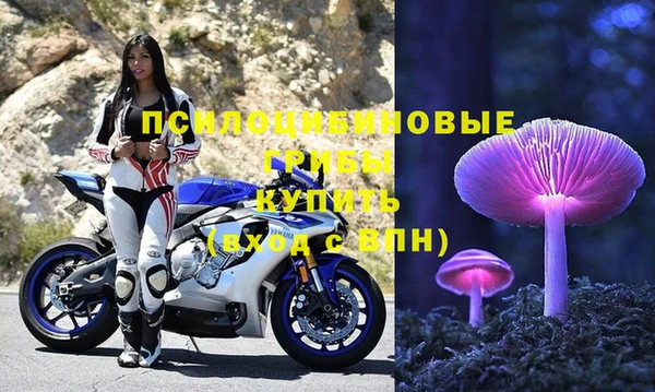 mix Гусь-Хрустальный