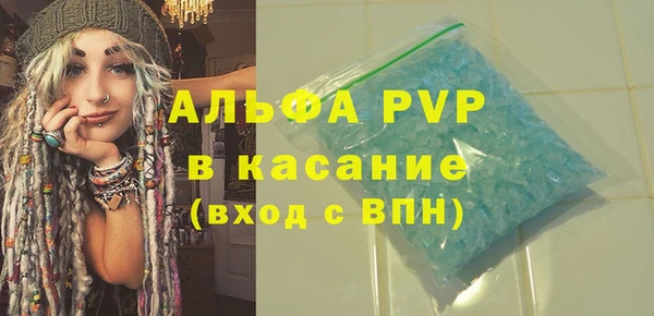 индика Гусев