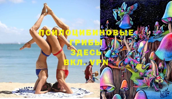 индика Гусев