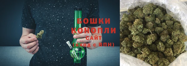 гидропоника Гусиноозёрск