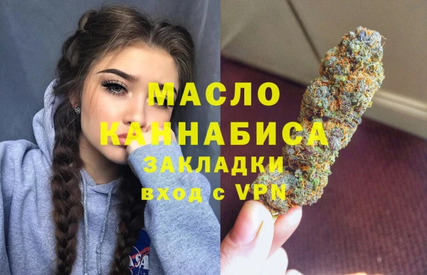 индика Гусев