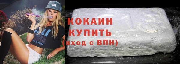 гидропоника Гусиноозёрск