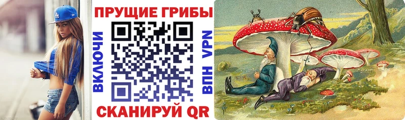 Купить  Ковдор  Псилоцибиновые грибы мицелий 